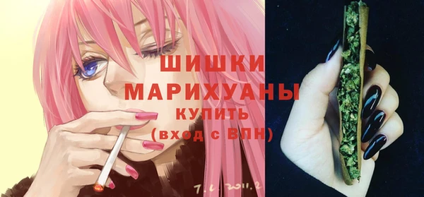гидропоника Богородицк